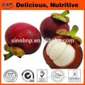 GMP&Kosher Sells High Quality alpha mangosteen extract powder